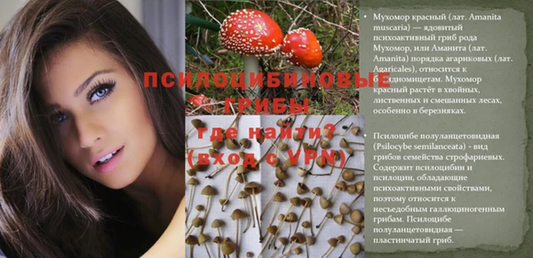 mdpv Киренск