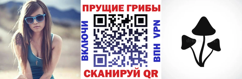 закладка Иваново Псилоцибиновые грибы прущие грибы